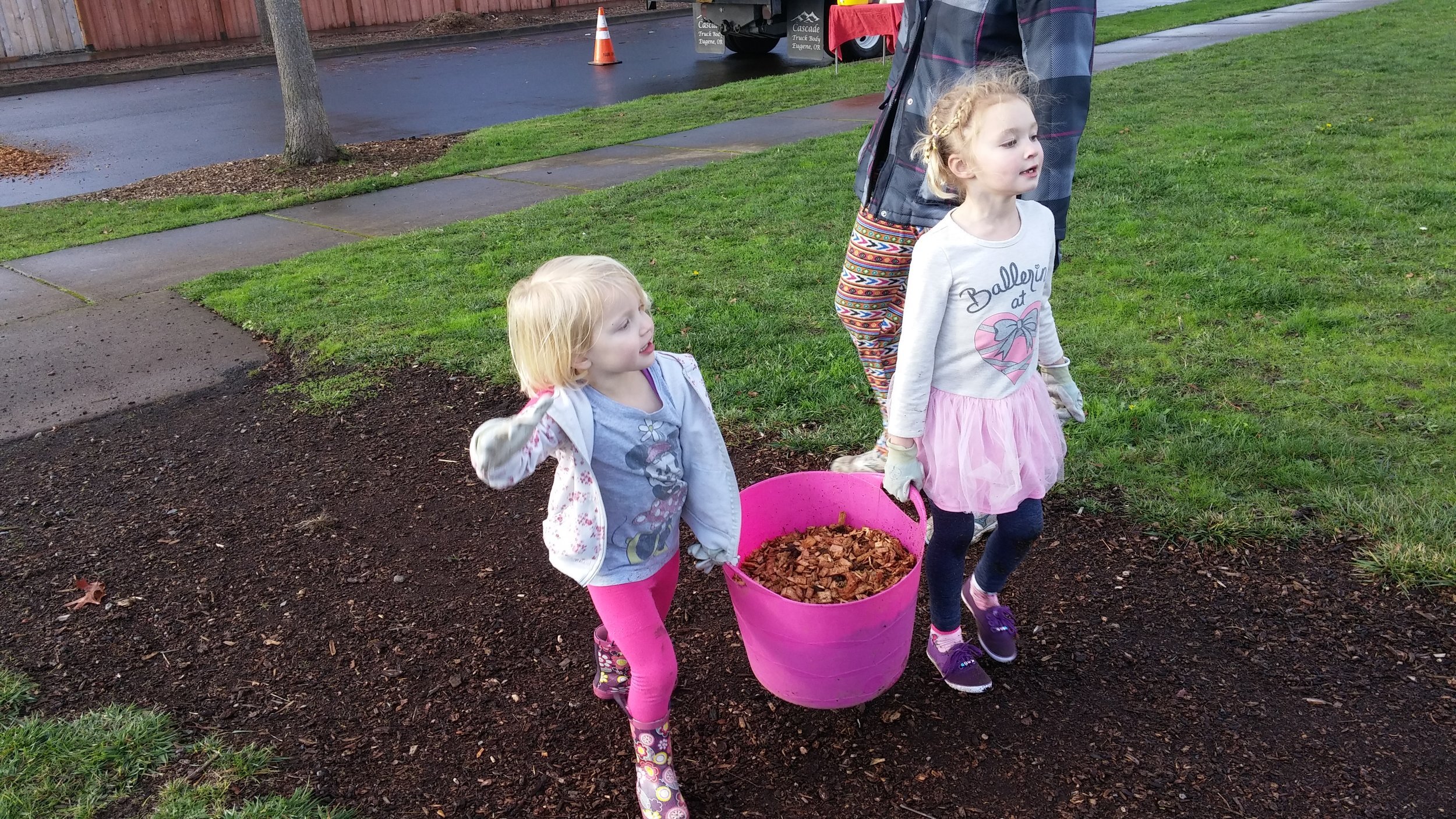 mulching 2.jpeg