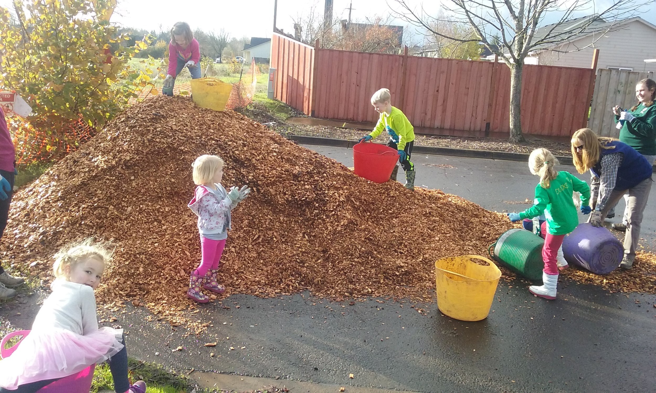 mulching.jpeg