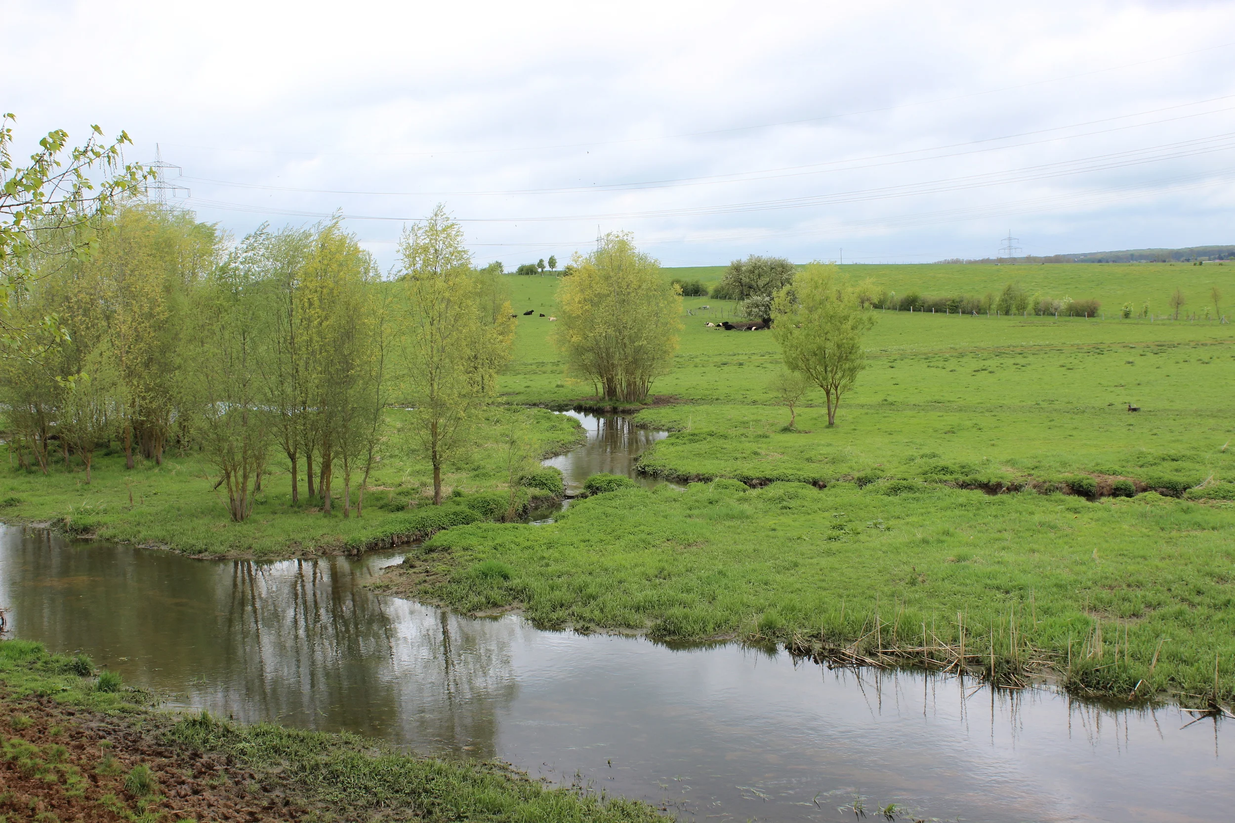 Alzette, spring 2015, fot. José Miguel Barrios