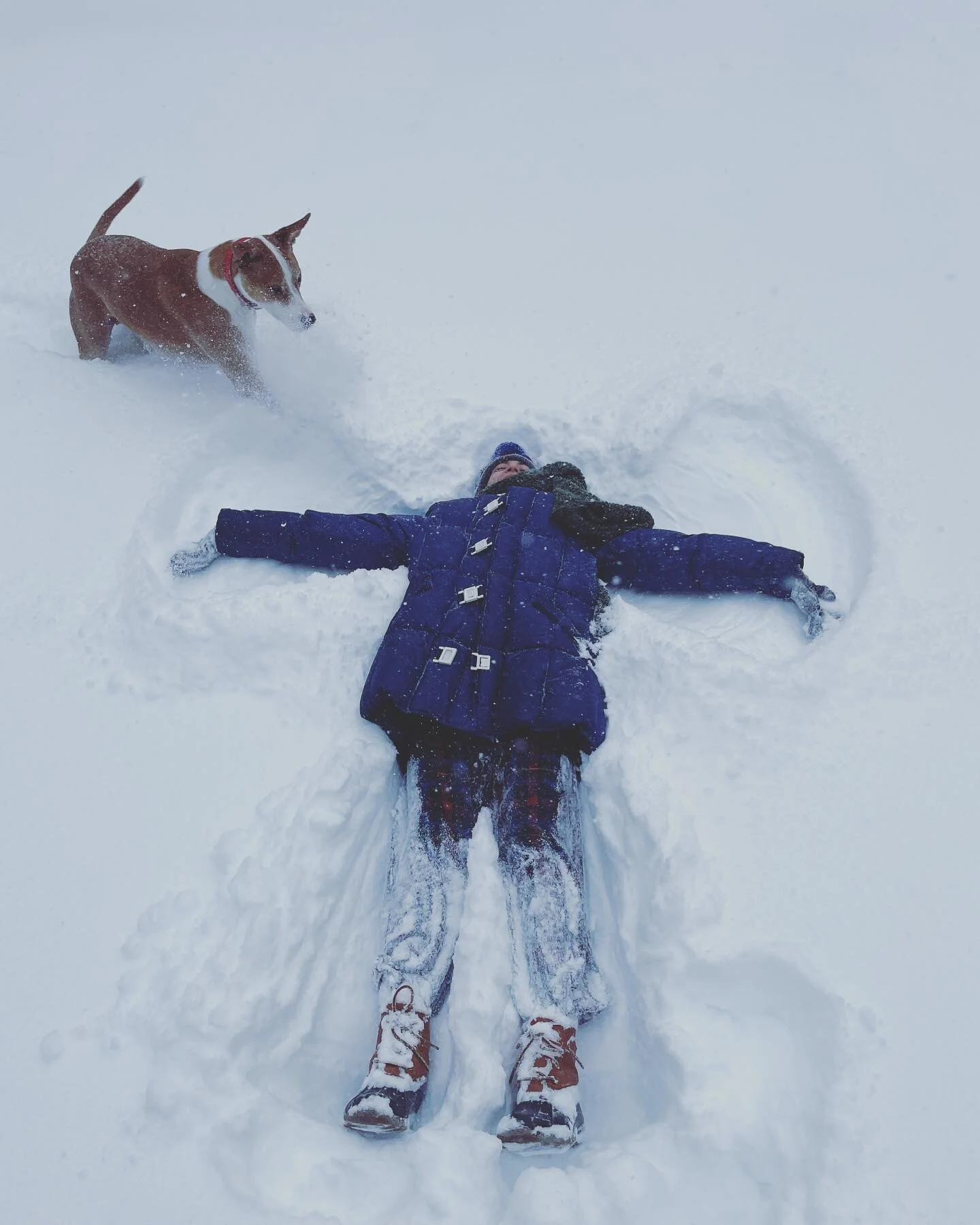 ❄️snow content❄️