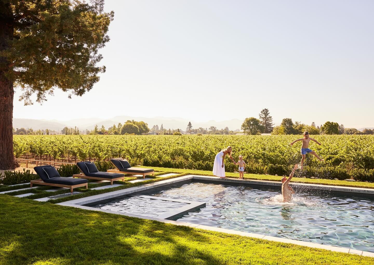 Remember summer?  It snowed yesterday in Sonoma and rain is the only forecast in sight so I&rsquo;m posting this gorgeous photo take by @nicole_franzen of my gorgeous clients in their gorgeous pool surrounded by miles of grapevines.  Join me in closi