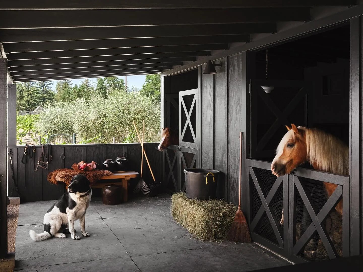 My eight year old self is thrilled.  I did it.  I built my childhood dream.  This little stable is tiny but it means everything to me.  The truth of the matter is that I&rsquo;ve always been most at home amongst animals.  Nothing in this world brings