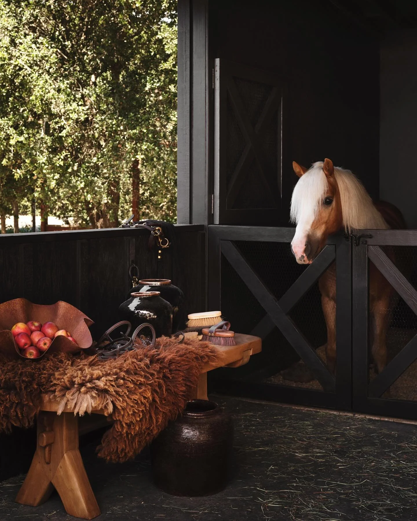 Piglet, our real life My Little Pony 

Photographer @douglasfriedman 
Lighting tech @_kitsinclair_