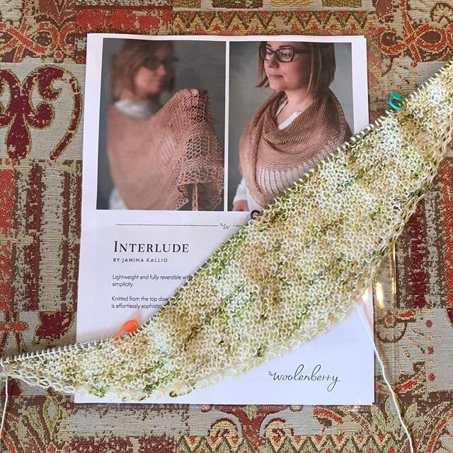 Interlude. 
I&rsquo;m at the shop until 2 today. Cuzzy has the day off...he&rsquo;s very busy at home eating slippers. 
#oldsunknits #localyarnshop #interlude #woolenberry #cuzzywasadingdong #madeinmontana #farmersdaughterfibers #foxylady