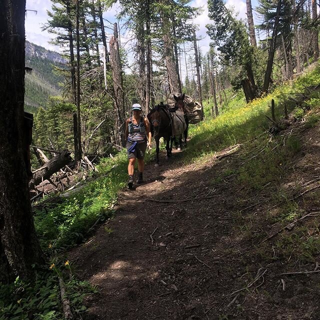 Another fantastic weekend &amp; another failed attempt at a family portrait.... #imwinning #ilikecamping #cuzzywasadingdong #montanasummer #weekendsarebetterthanweekdays