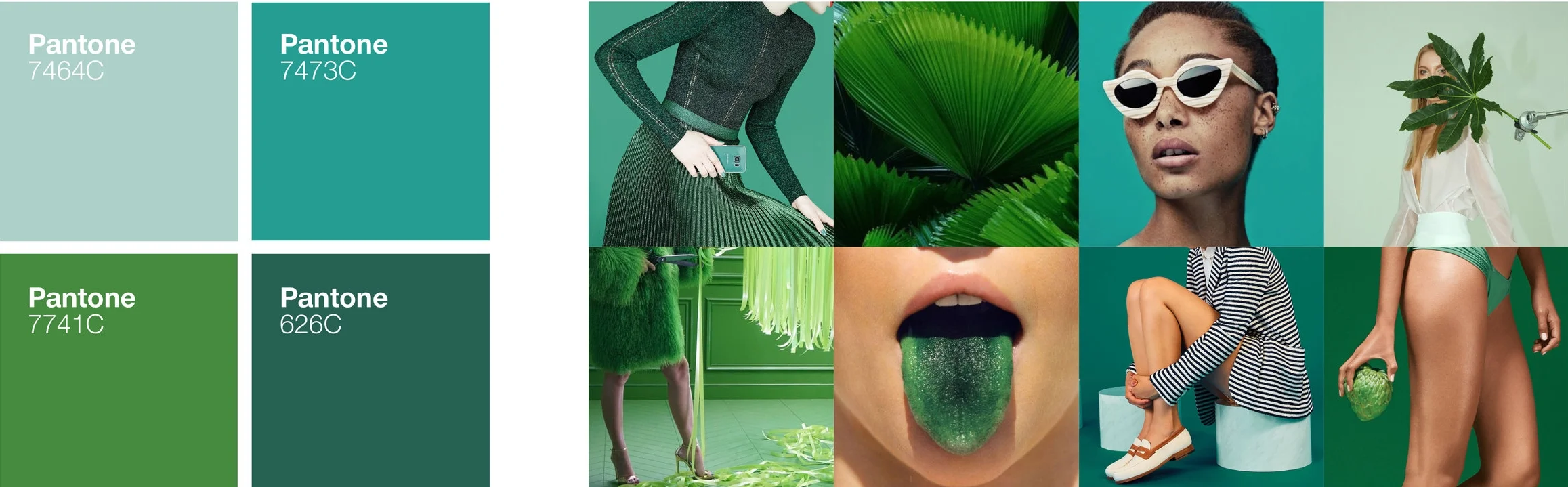 COLOR_PALETTE_GREEN.jpg