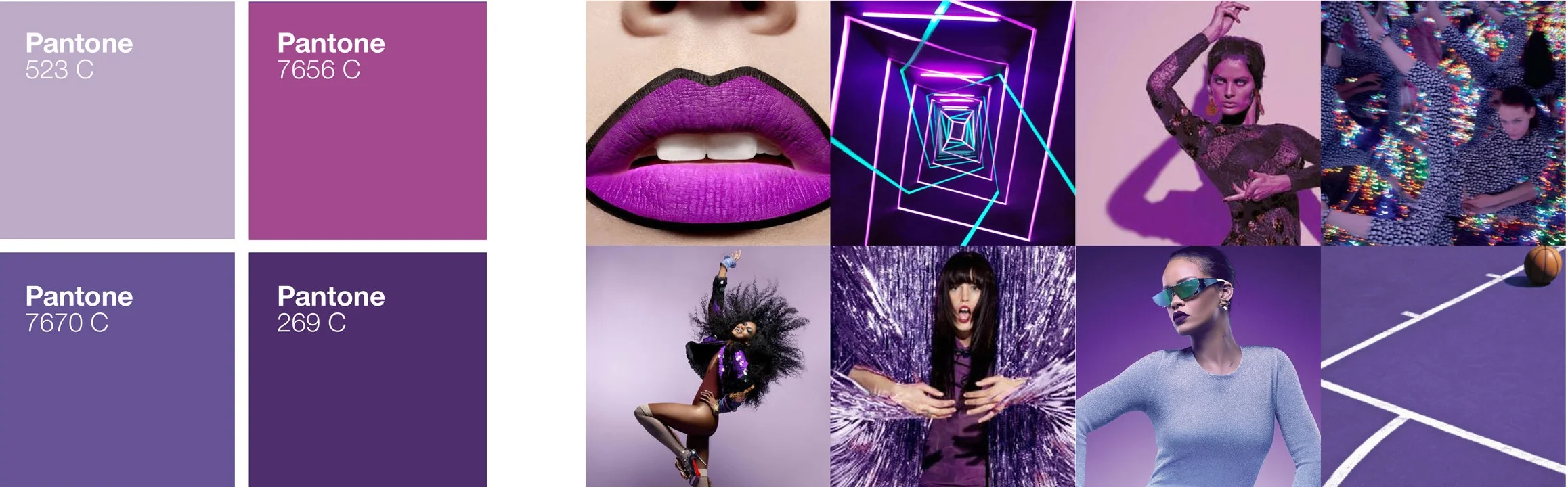 COLOR_PALETTE_PURPLE.jpg