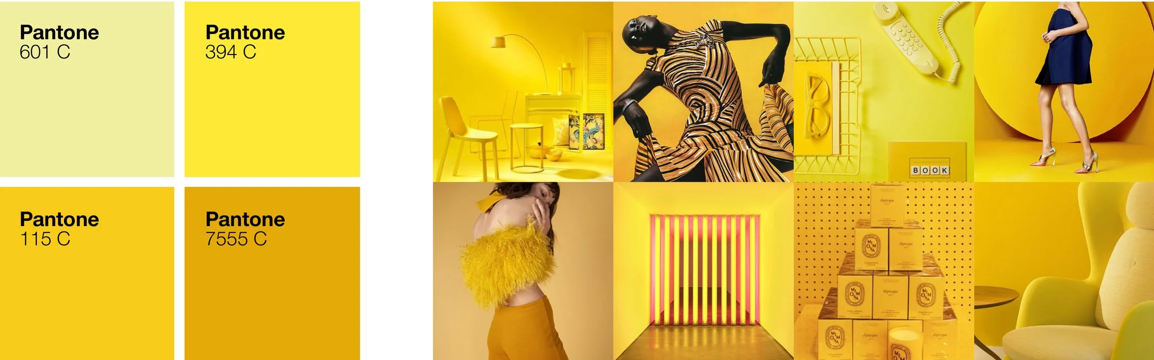 COLOR_PALETTE_YELLOW.jpg