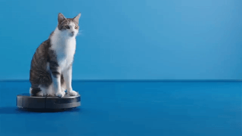 giphy-11 copy.gif