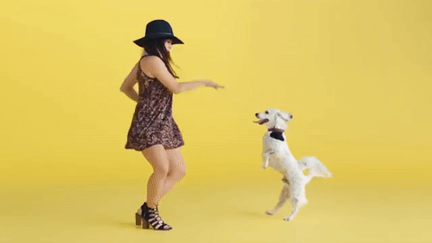 dog_dance_giphy.gif
