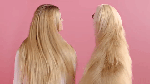 hair_giphy.gif