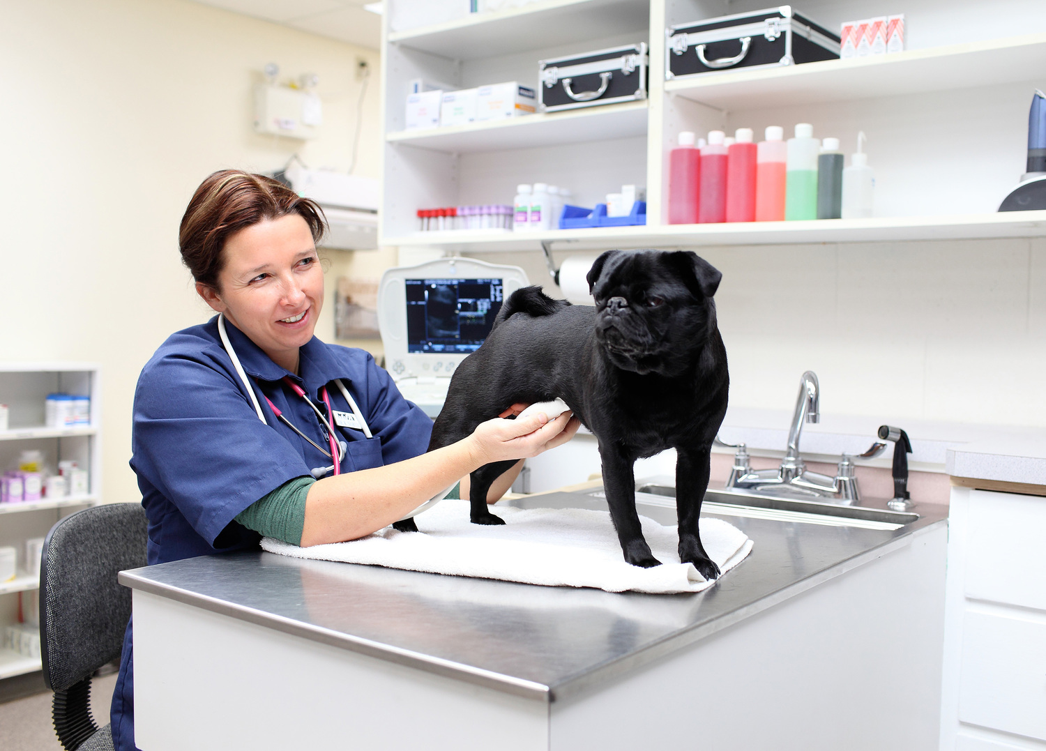 North Peace Veterinary Clinic North Peace Veterinary Clinic