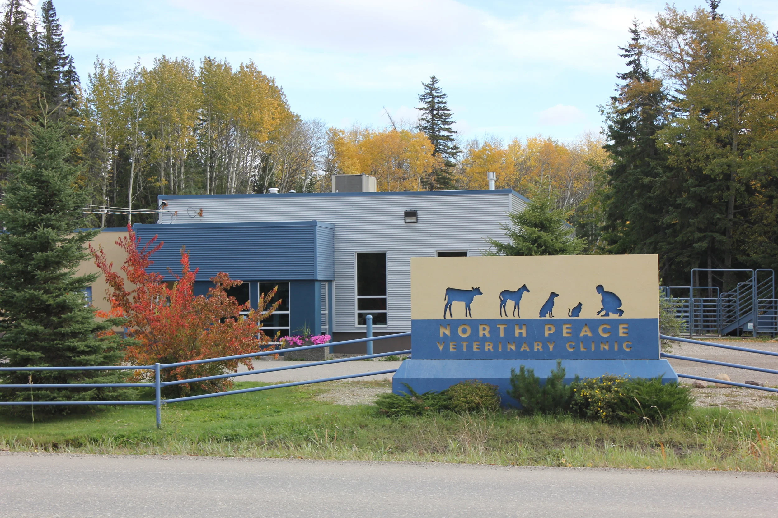 north vet clinic