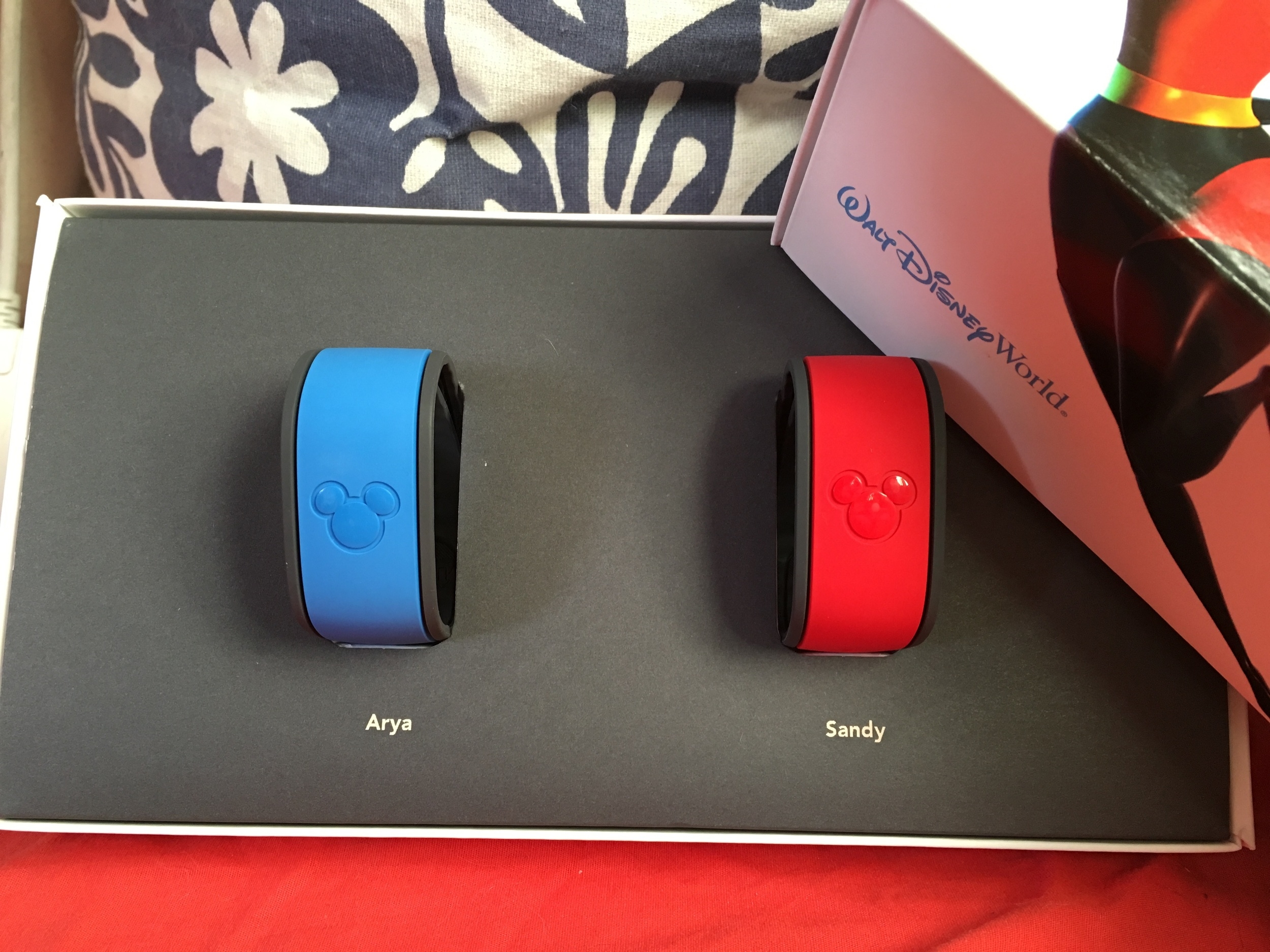 Magic Bands
