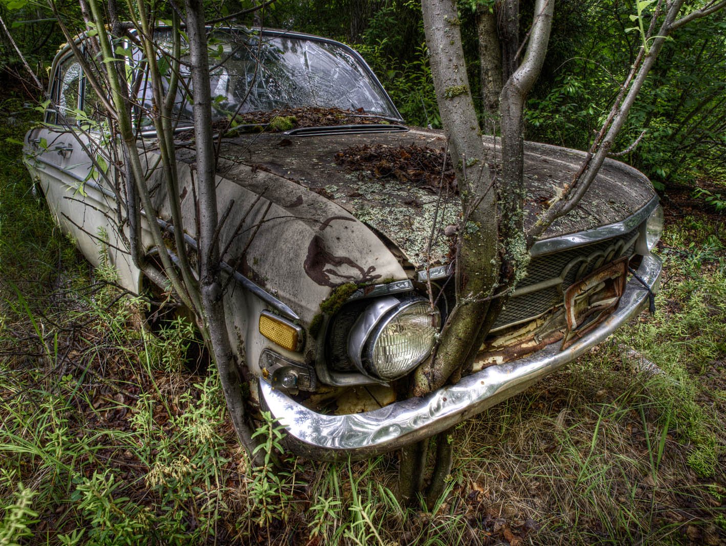 Abandoned Audi - Himalaya Rd ~M5_20110703_0193_5_7_9_tonemapped 8 bit.jpg