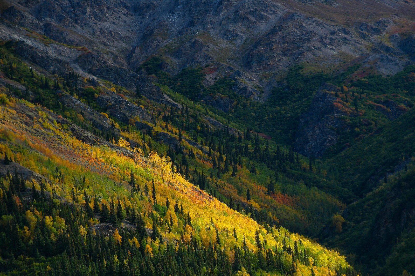 Alaska Range in Late Summer.jpg