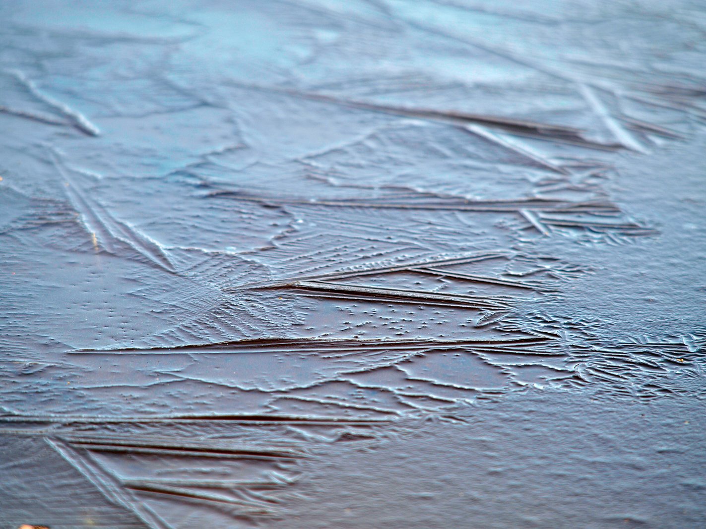 Skim Ice Off the Denali Hwy_0095 ADJ.jpg