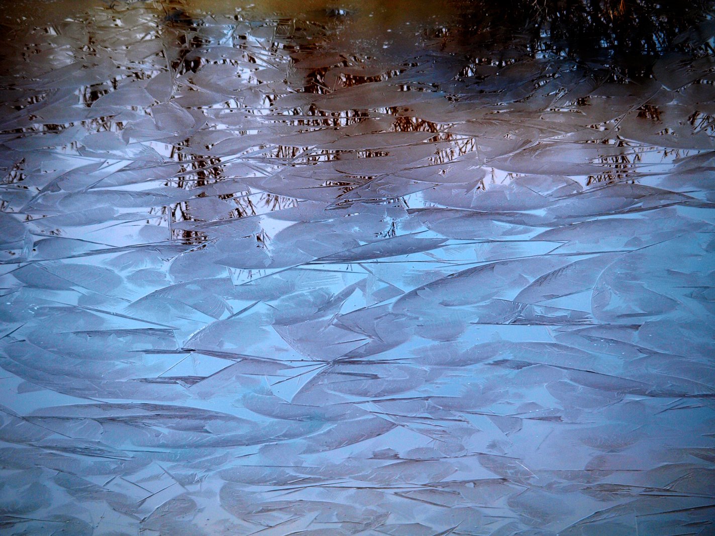 Skim Ice on the Denali Hwy__0026 ADJ.jpg