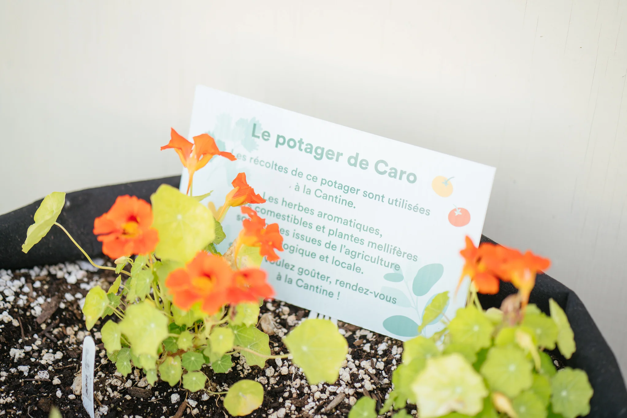 Village au Pied-du-Courant Ciné_30062019_CANNELLE_WIECHERT_011 (1).jpg