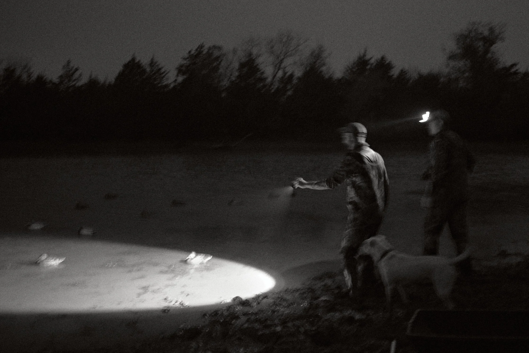 161127_Duck_Hunting_004.jpg