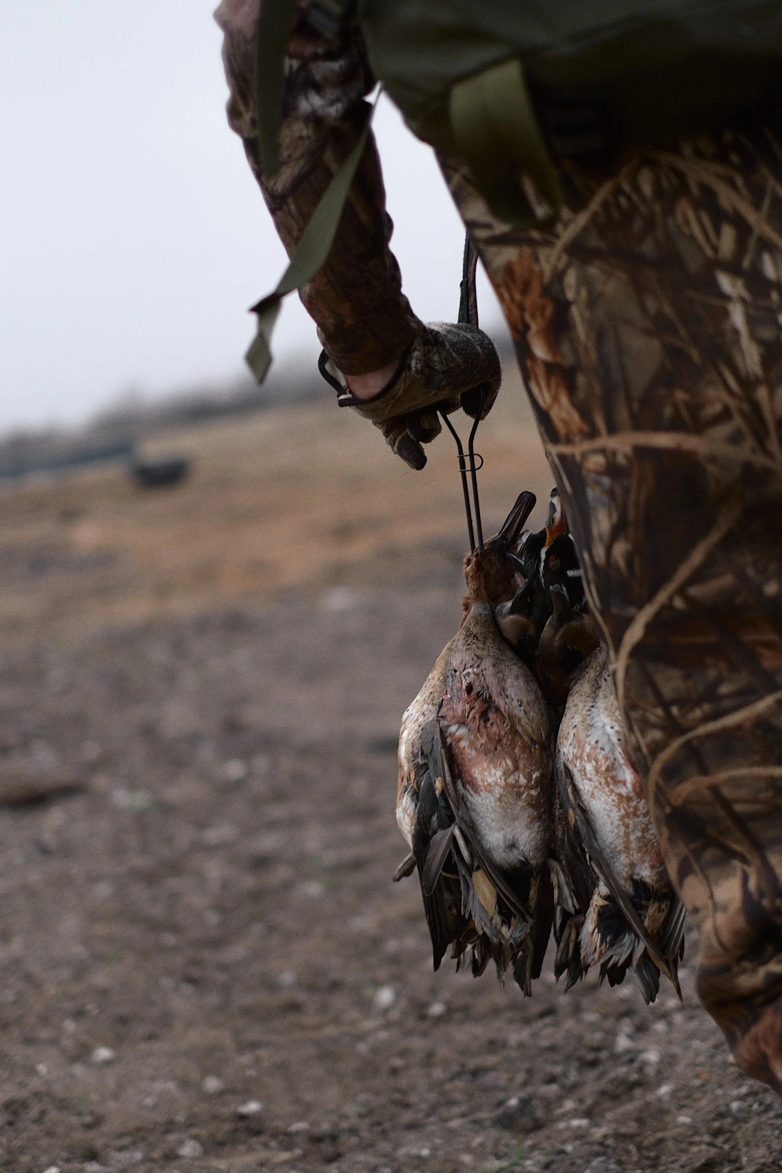 161127_Duck_Hunting_116.jpg
