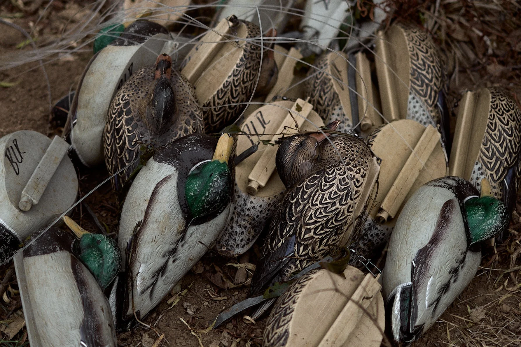 161127_Duck_Hunting_183.jpg