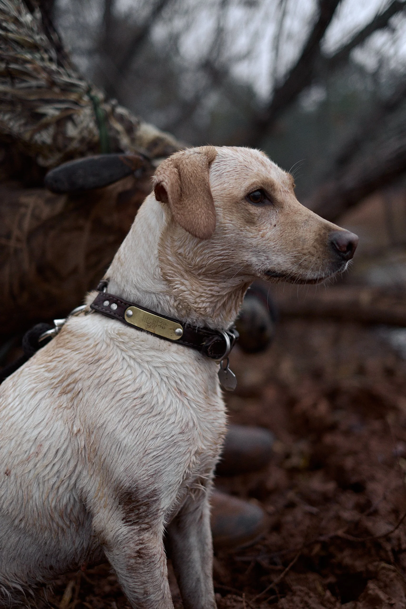 161127_Duck_Hunting_290.jpg
