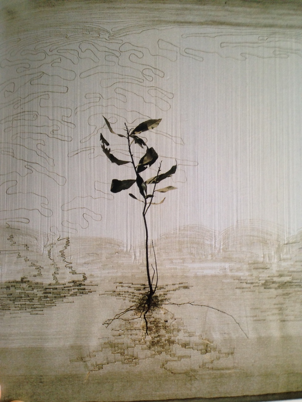 Marisa Bronzini, "Filo 31 (Fil 31)", 1989. 80 x 70 cm. Soie, coton, lin, laurier (Catalogue " Filo 1996")