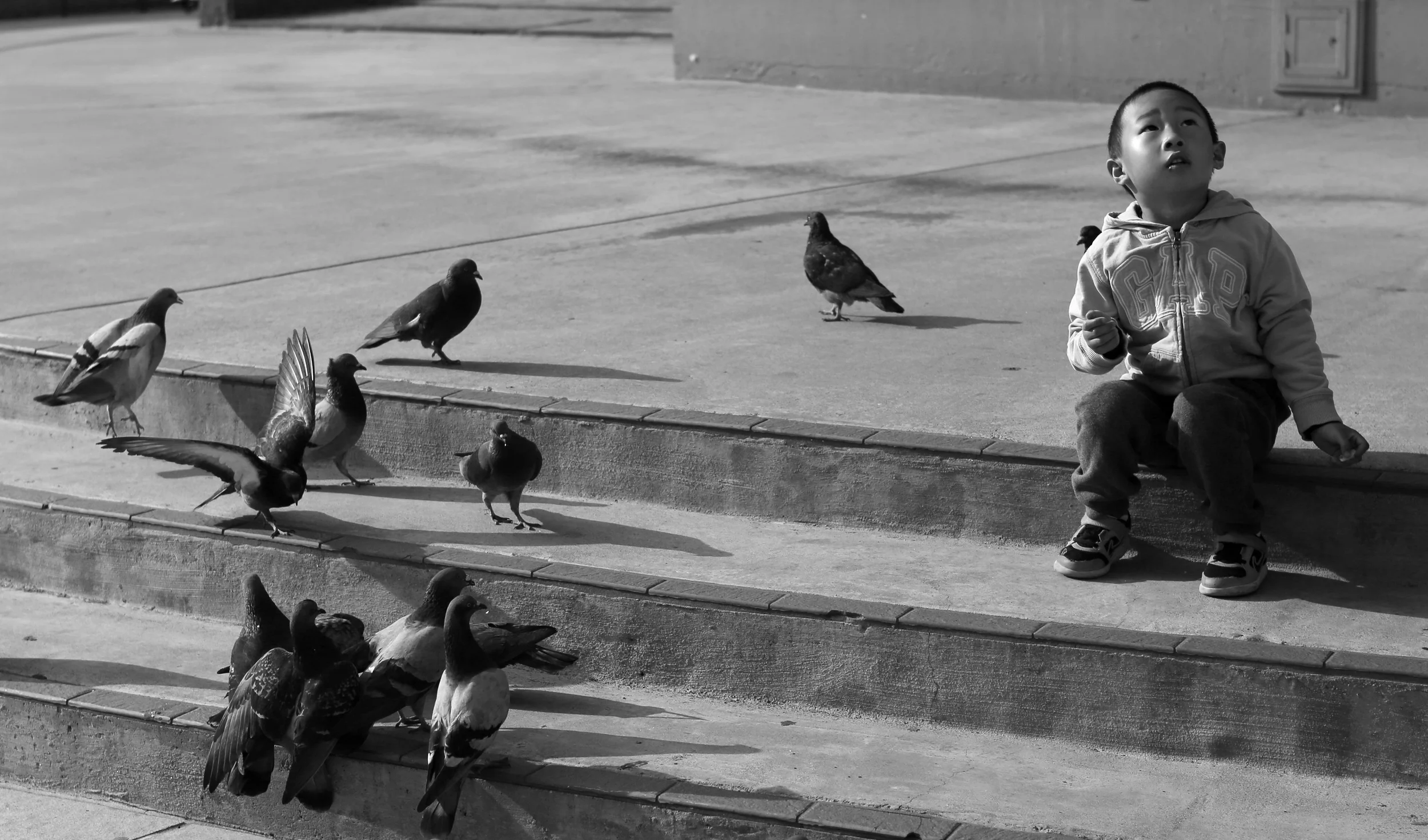 Liu.man v bird. 10x17.jpg