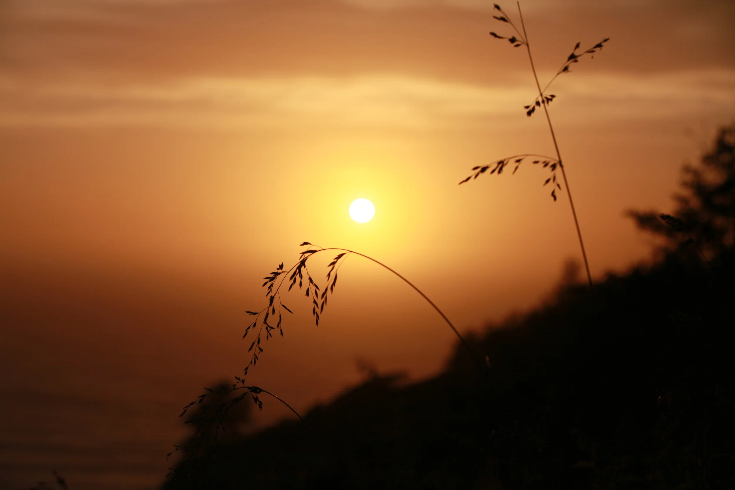 201304上海车展 830.jpg