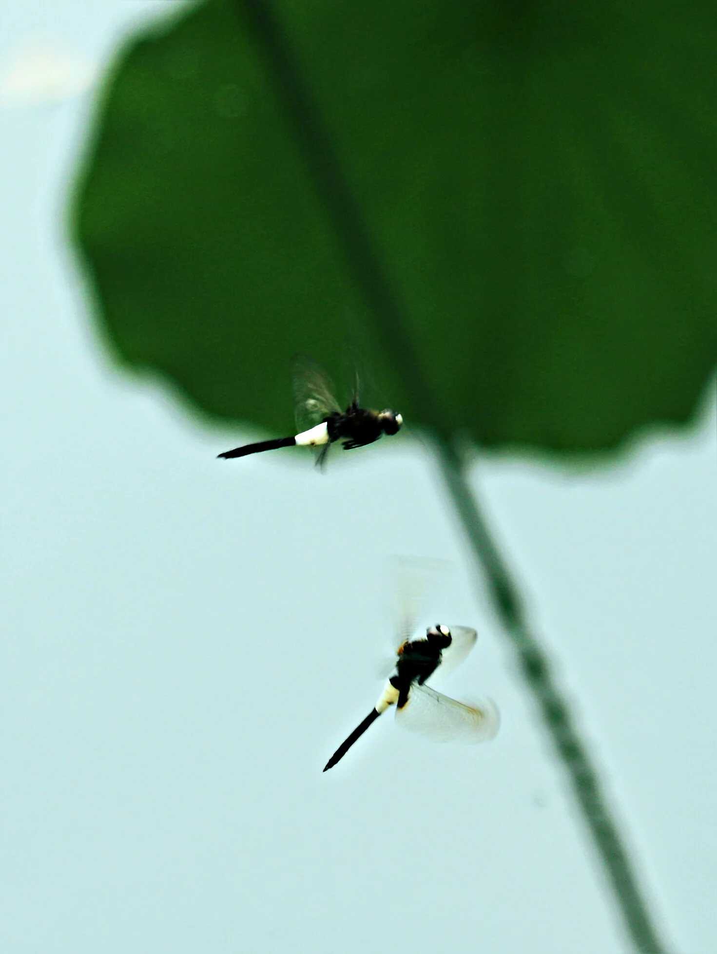 20130721下涯绍兴2 (65)G.jpg