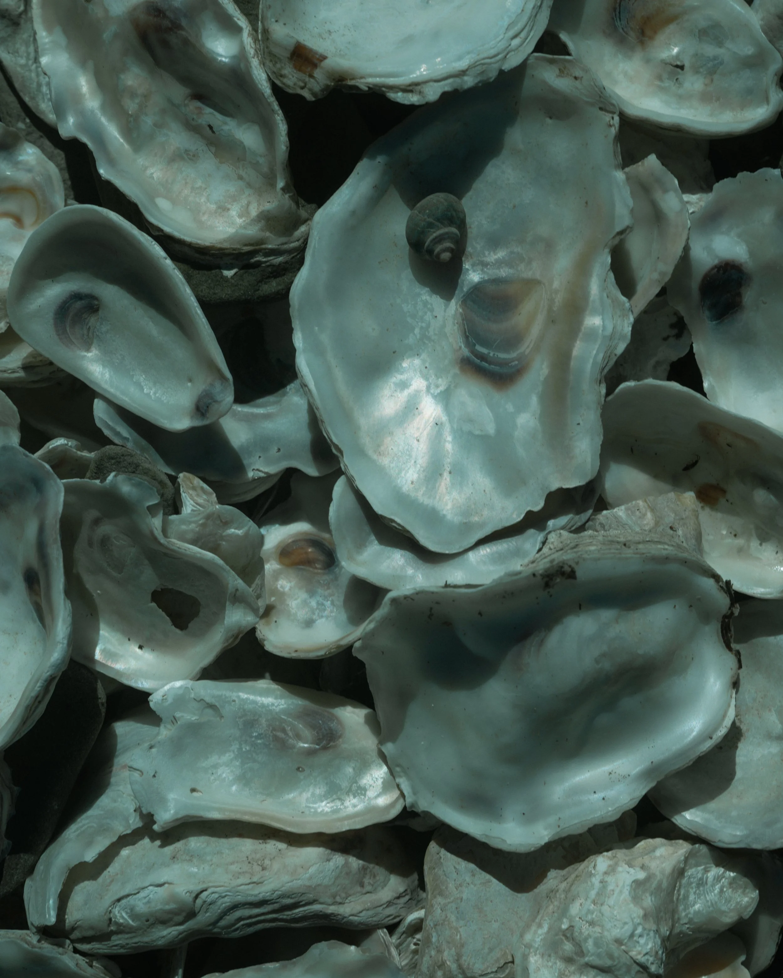 Lydia Hansen Photography_norway_03-2.jpg