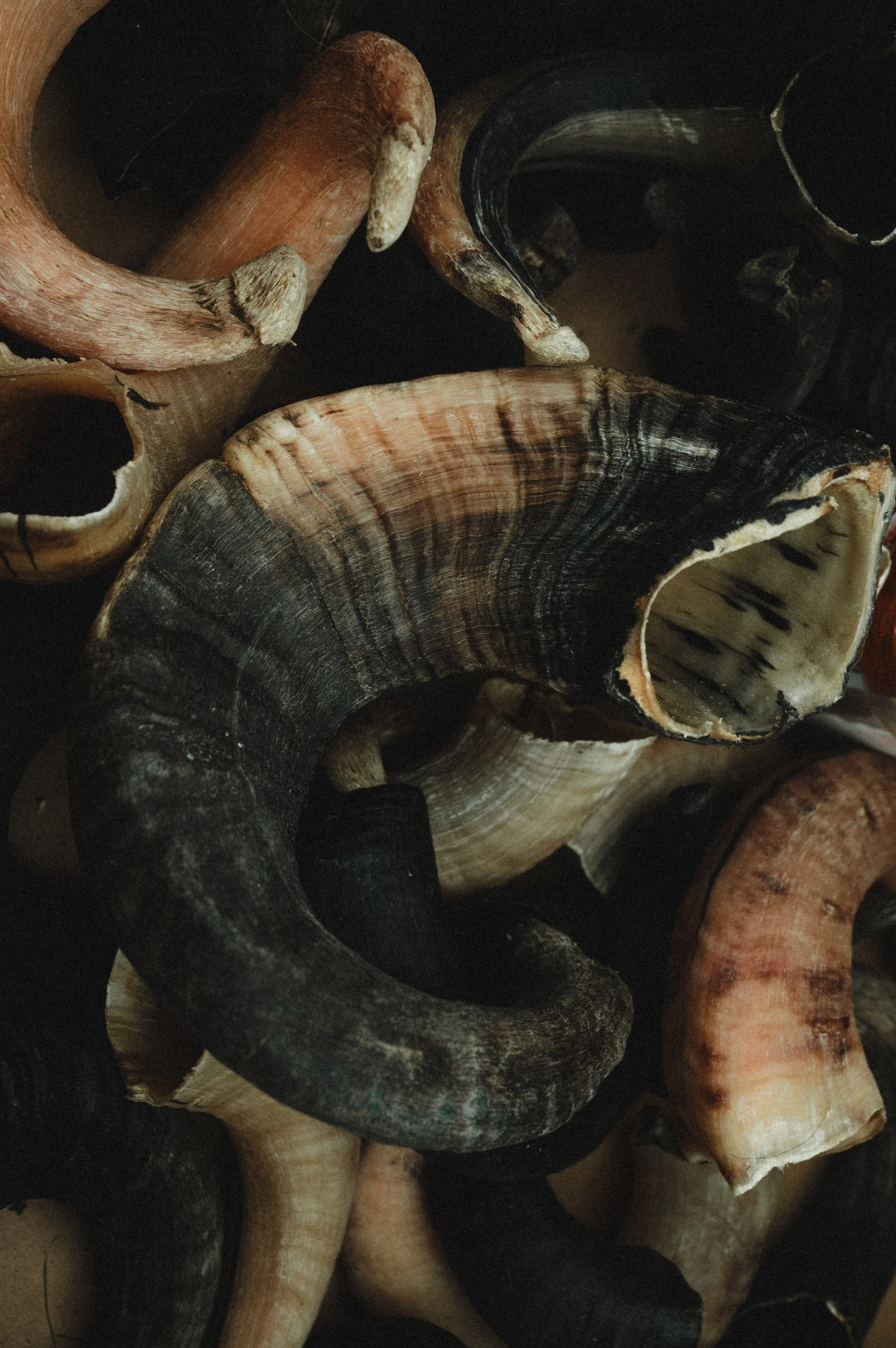 Mykines_Lydia Hansen Photography_09.jpg