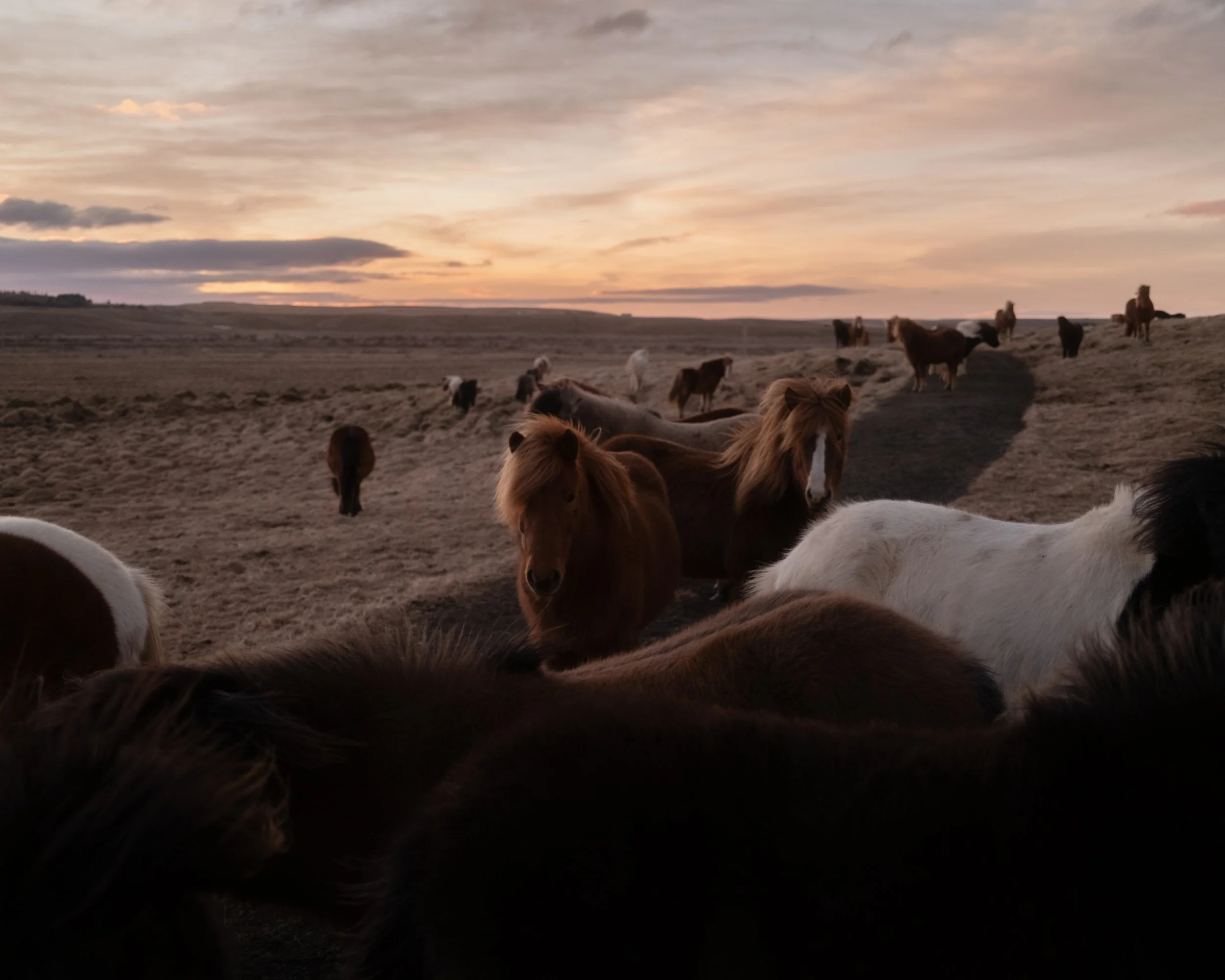 Lydia Hansen Photography_landscapes_20.jpg