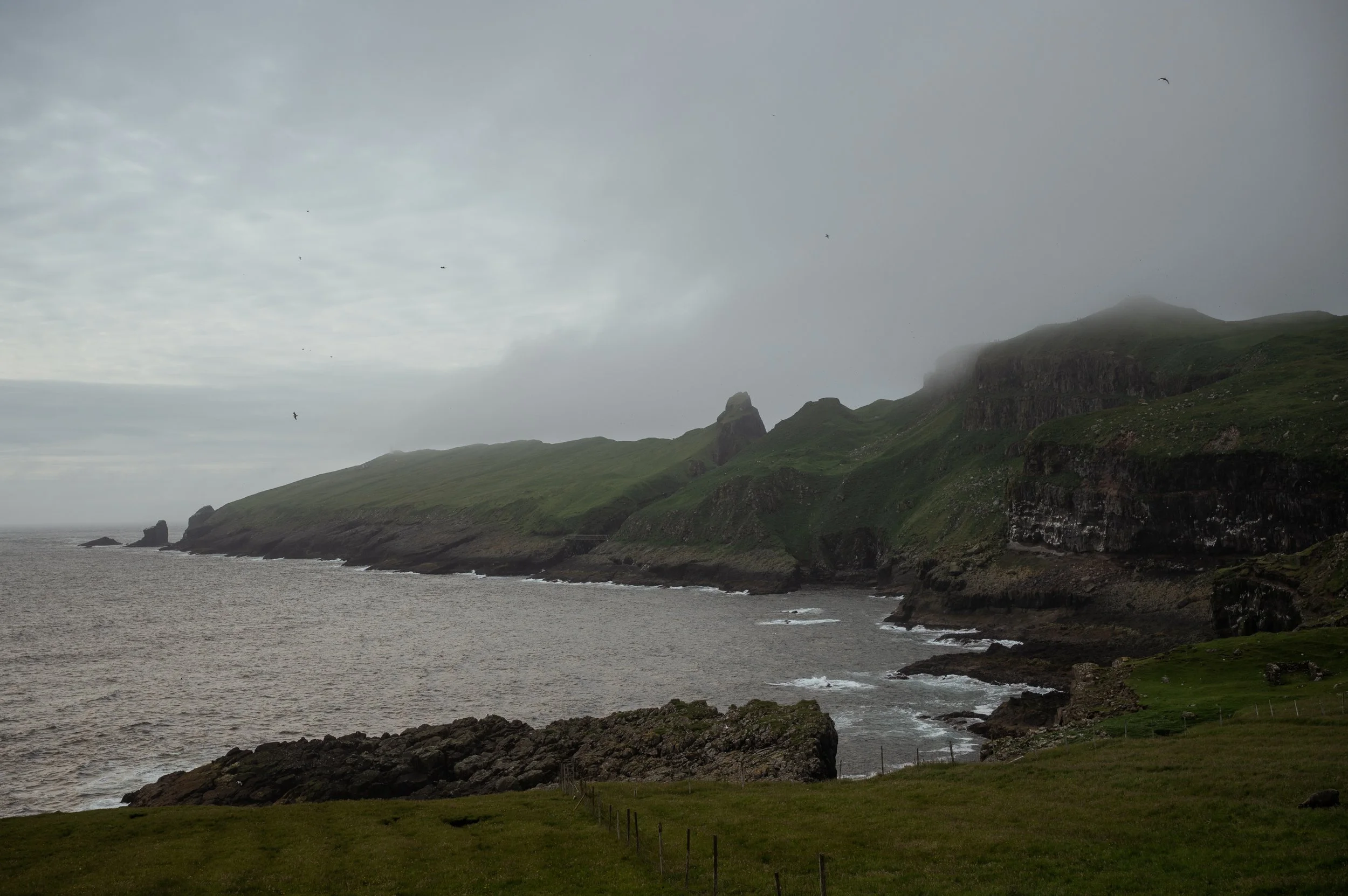 Mykines_Lydia Hansen Photography_06.jpg