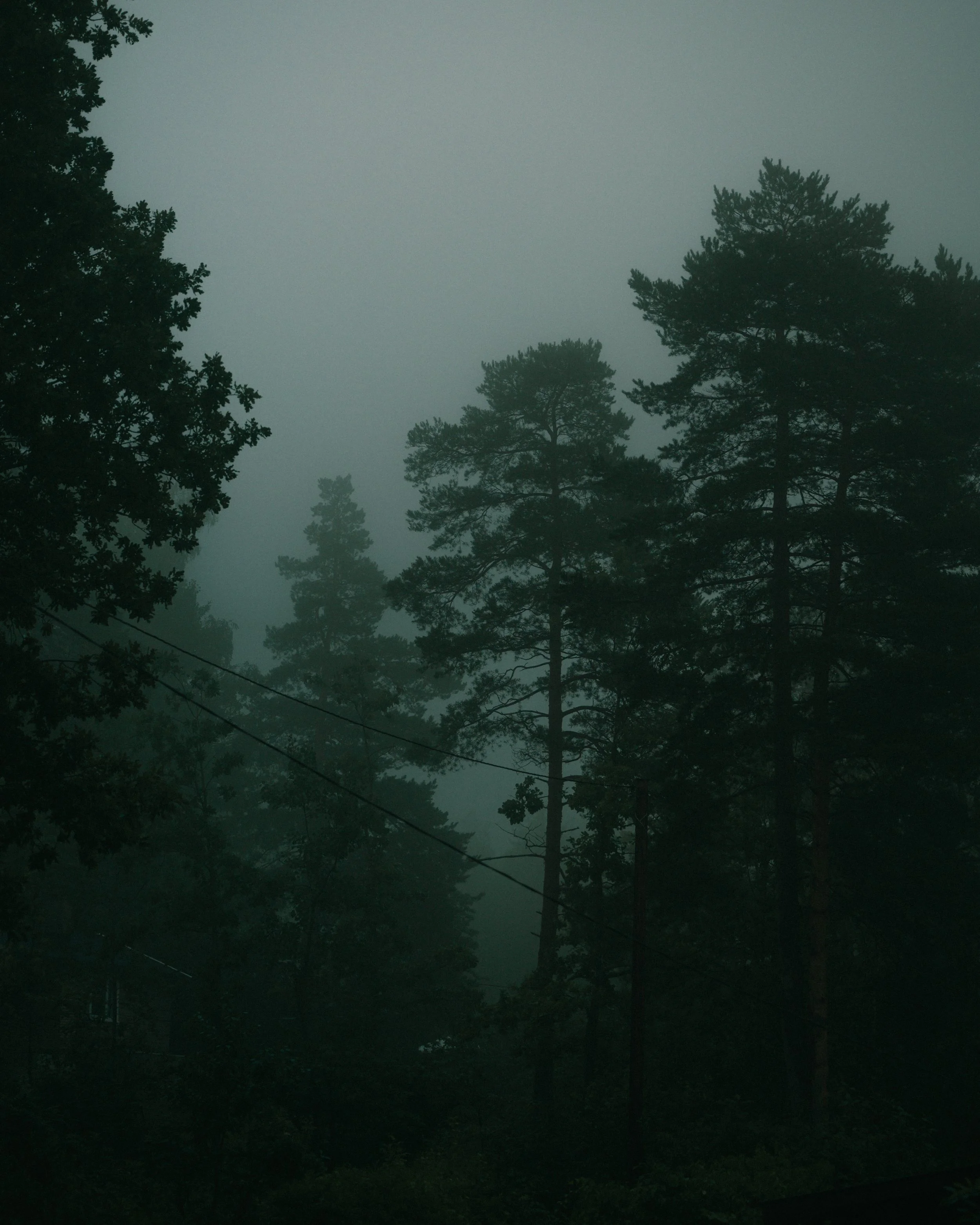 Lydia Hansen Photography_landscapes_12.jpg