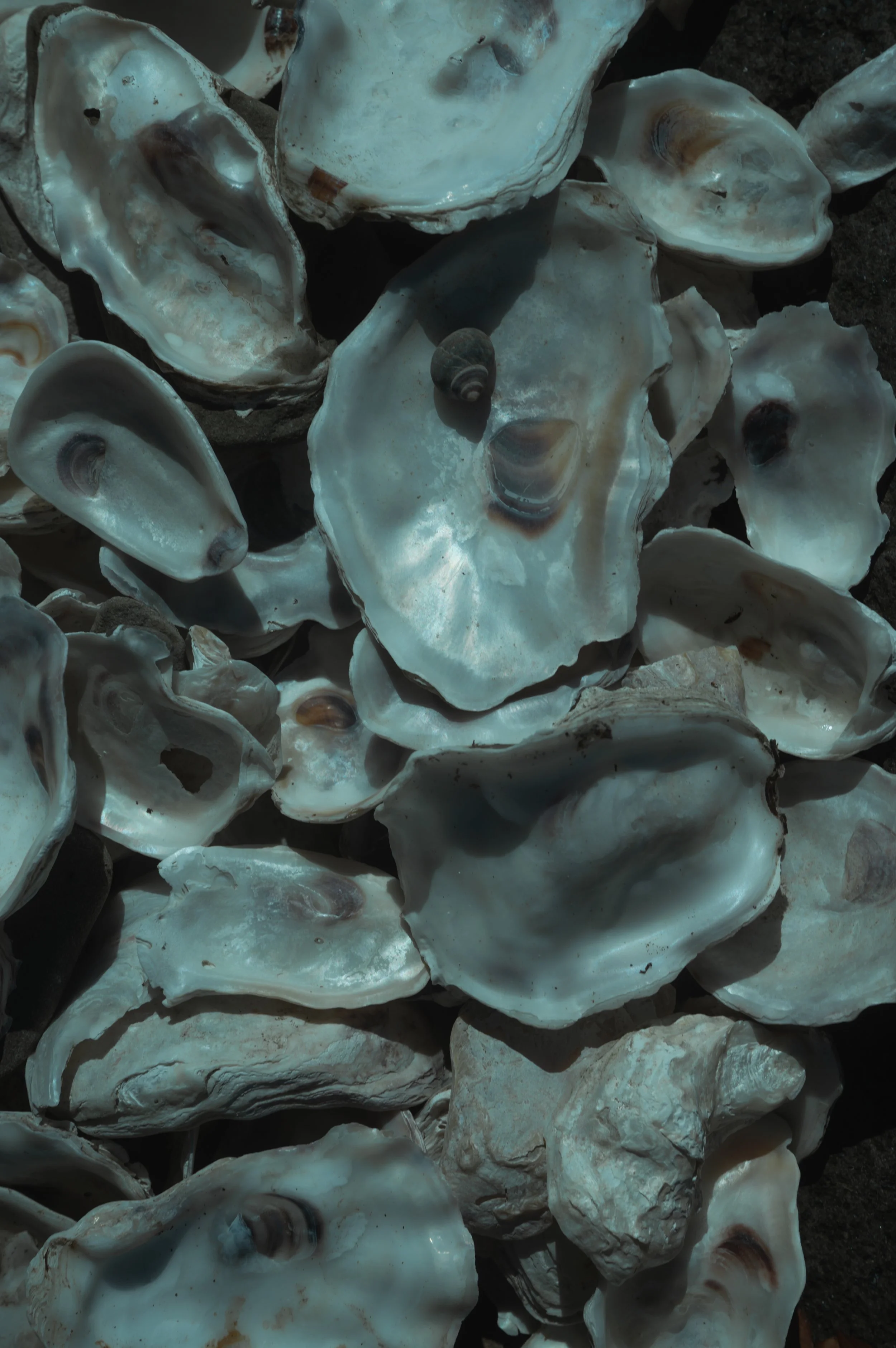 Lydia Hansen Photography_norway_03.jpg