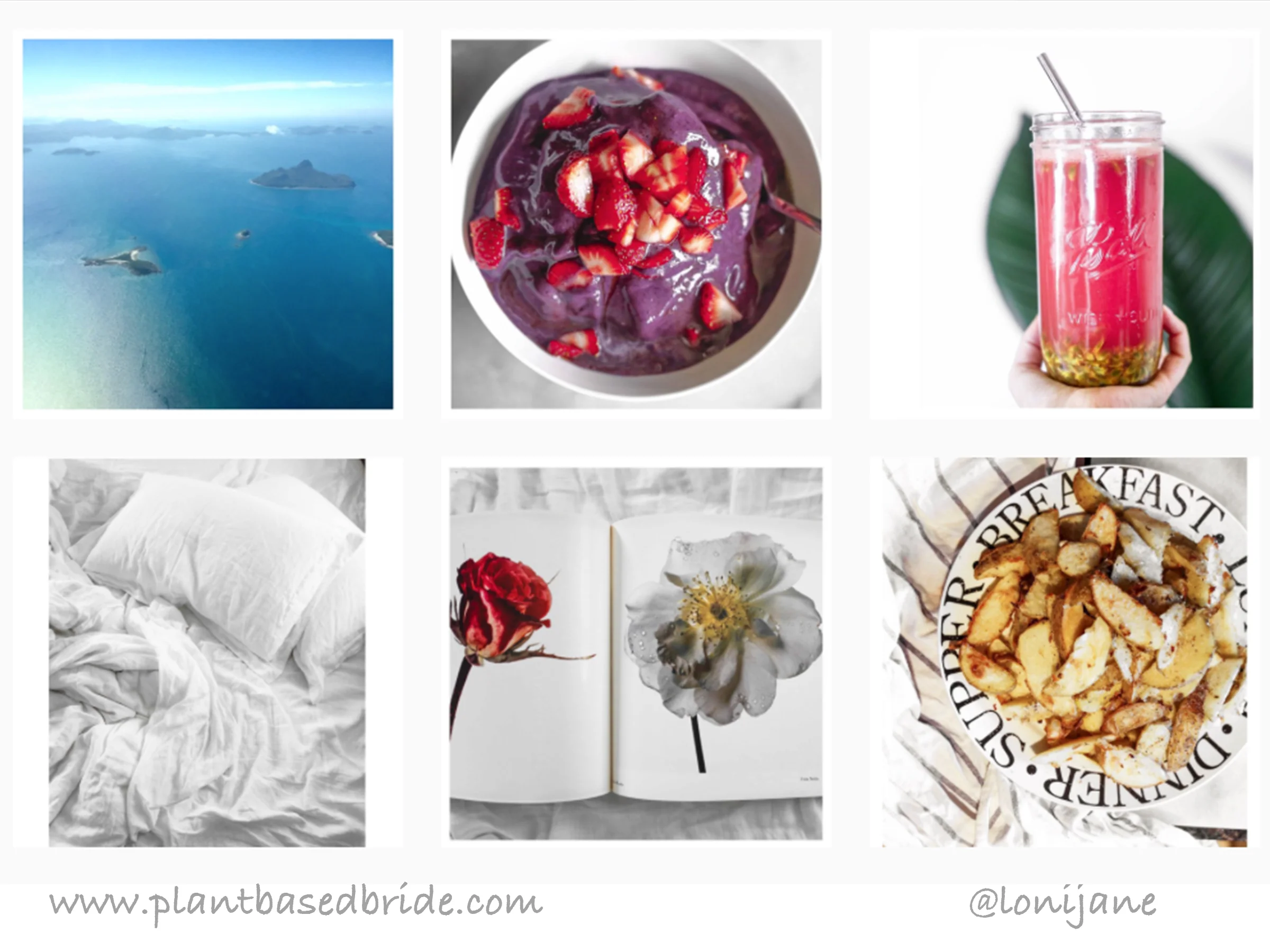 15 Awesome Plant Based Instagram Accounts You Should Follow! — Plant