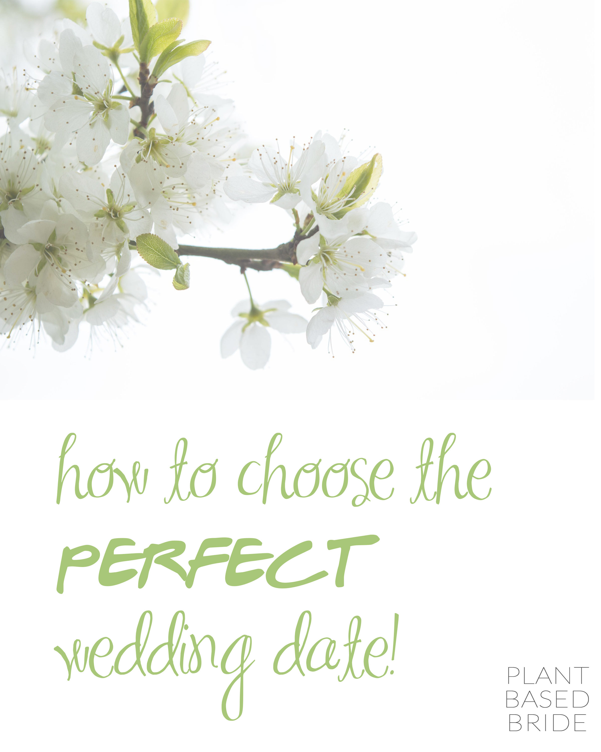 5 Steps for Choosing Your Wedding Date