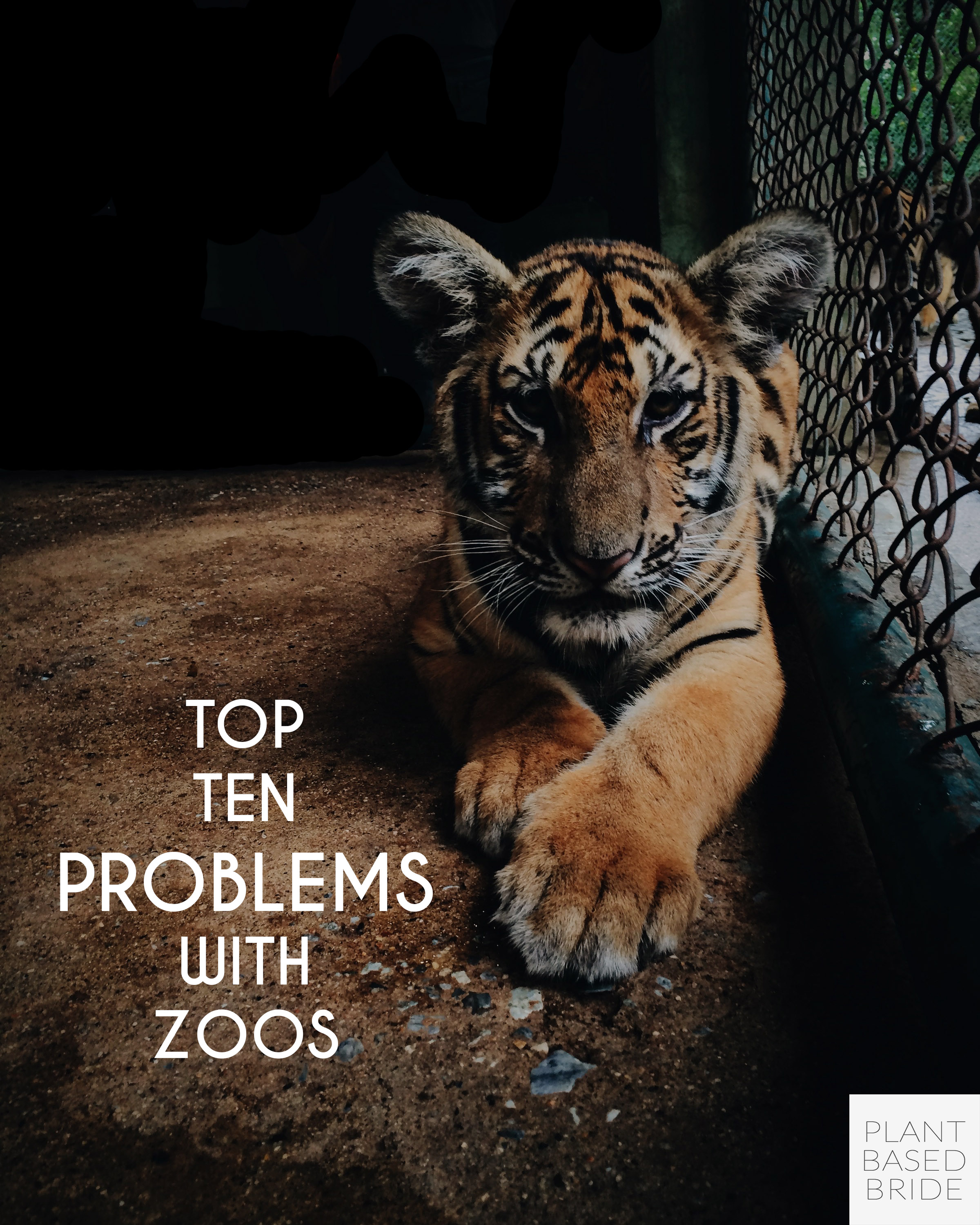 Top Ten Problems With Zoos — Plant Based Bride