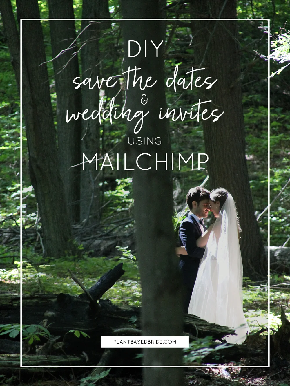 Diy Wedding Invites Save The Dates Using Mailchimp Plant Based Bride