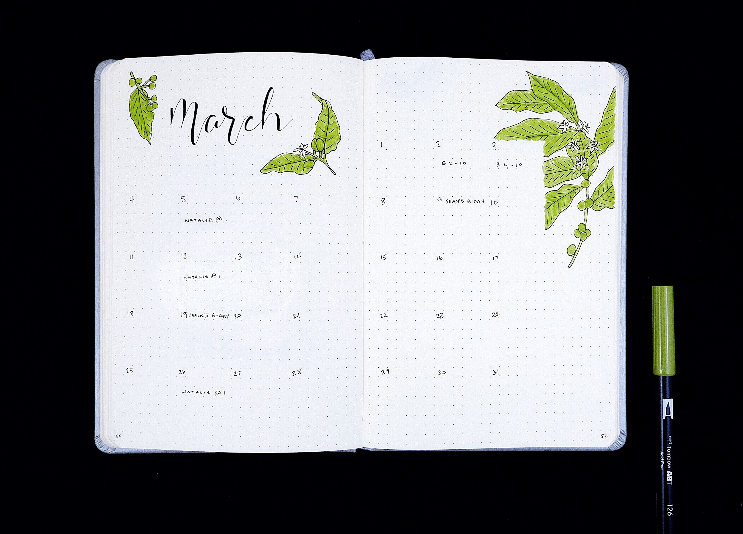 March 2018 Bullet Journal Plan With Me — Plant Based Bride