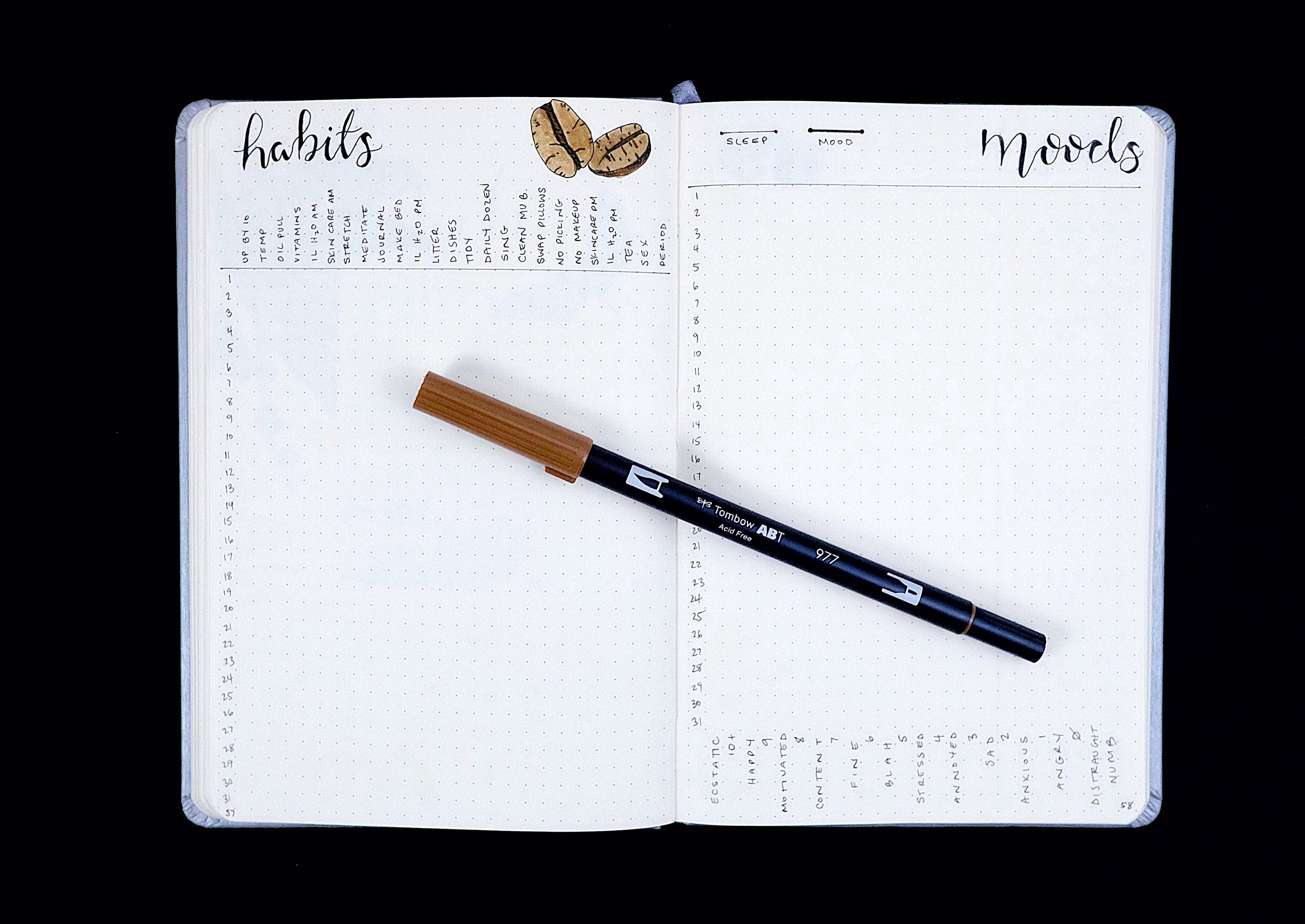 March 2018 Bullet Journal Plan With Me — Plant Based Bride