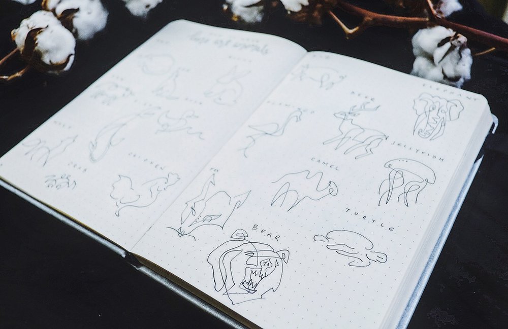 How To Draw Line Art Animals A One Line Drawing Tutorial Plant Based Bride