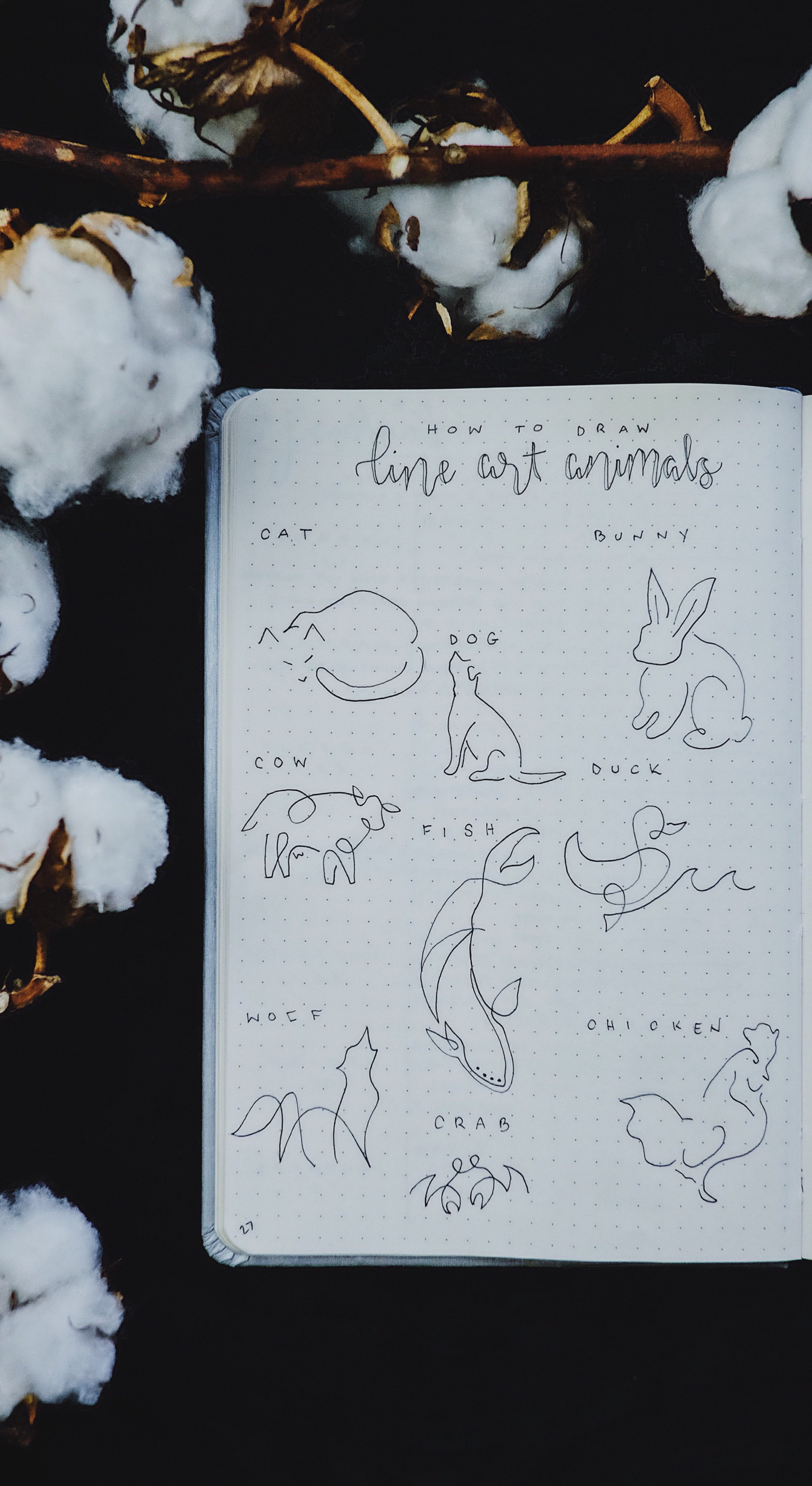 How To Draw Line Art Animals: A One Line Drawing Tutorial — Plant Based  Bride