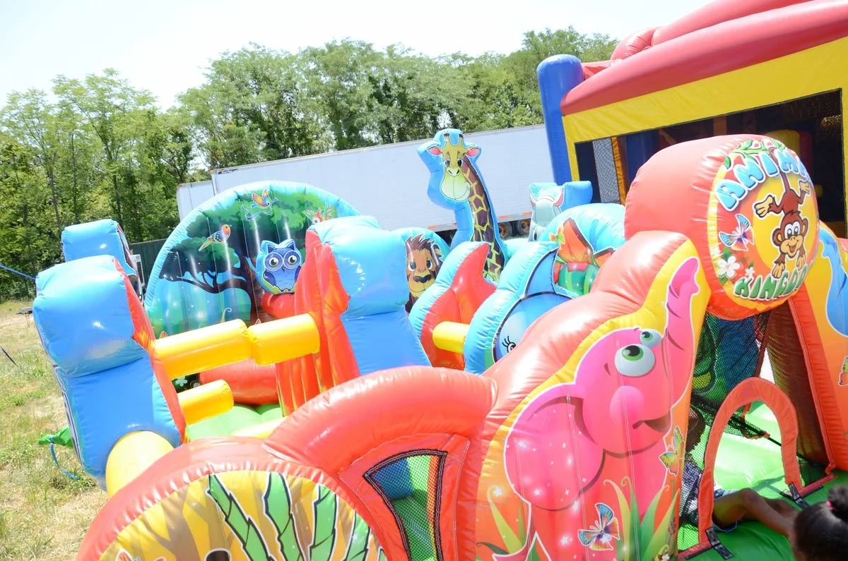 Animal Kingdom Inflatable by Ninja Jump