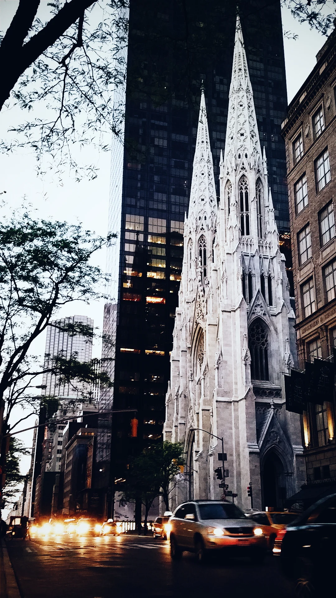 2015-05-13 08.16.56 2.jpg