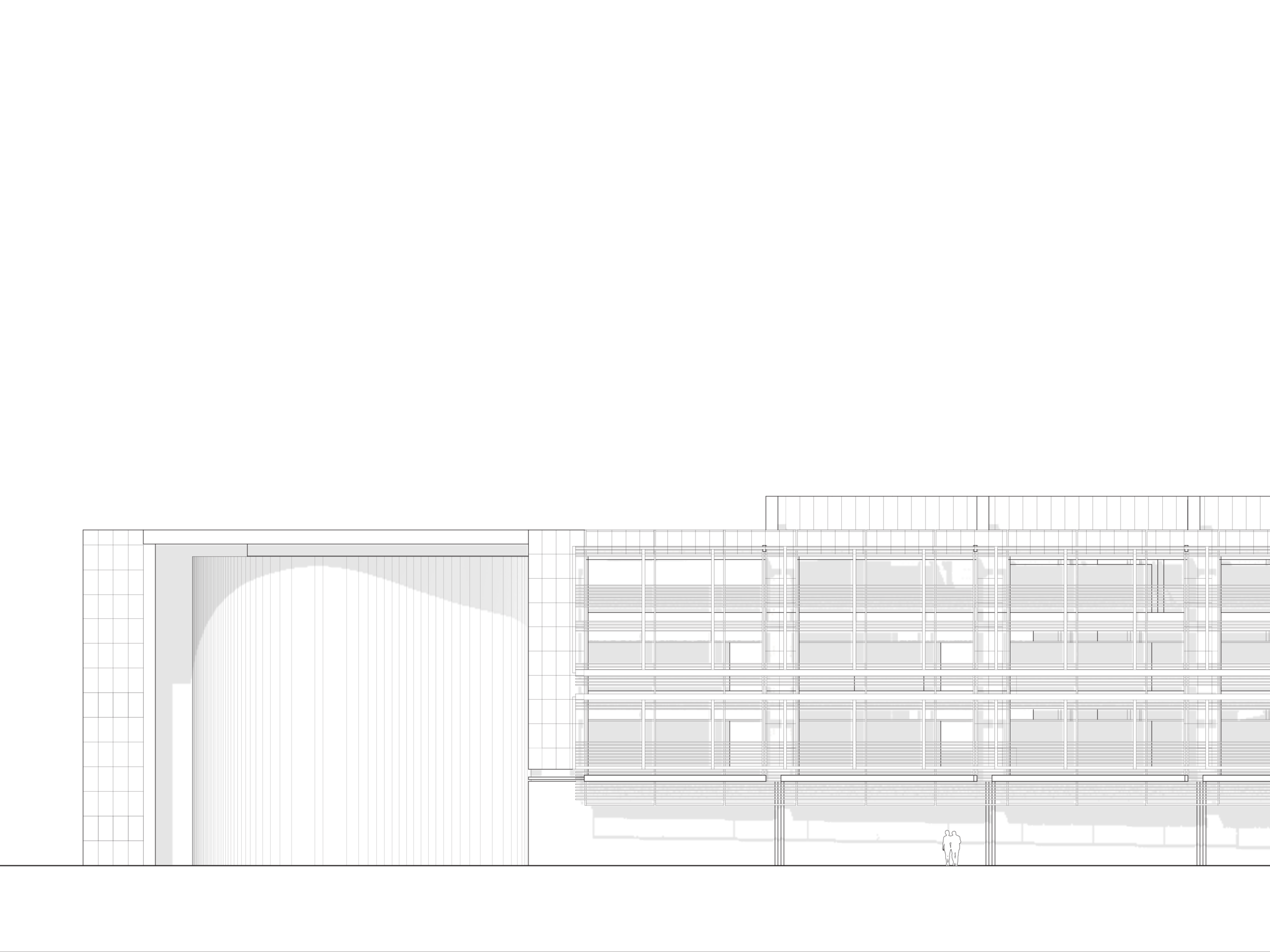MiguelCastaneda_Elevation-01.png