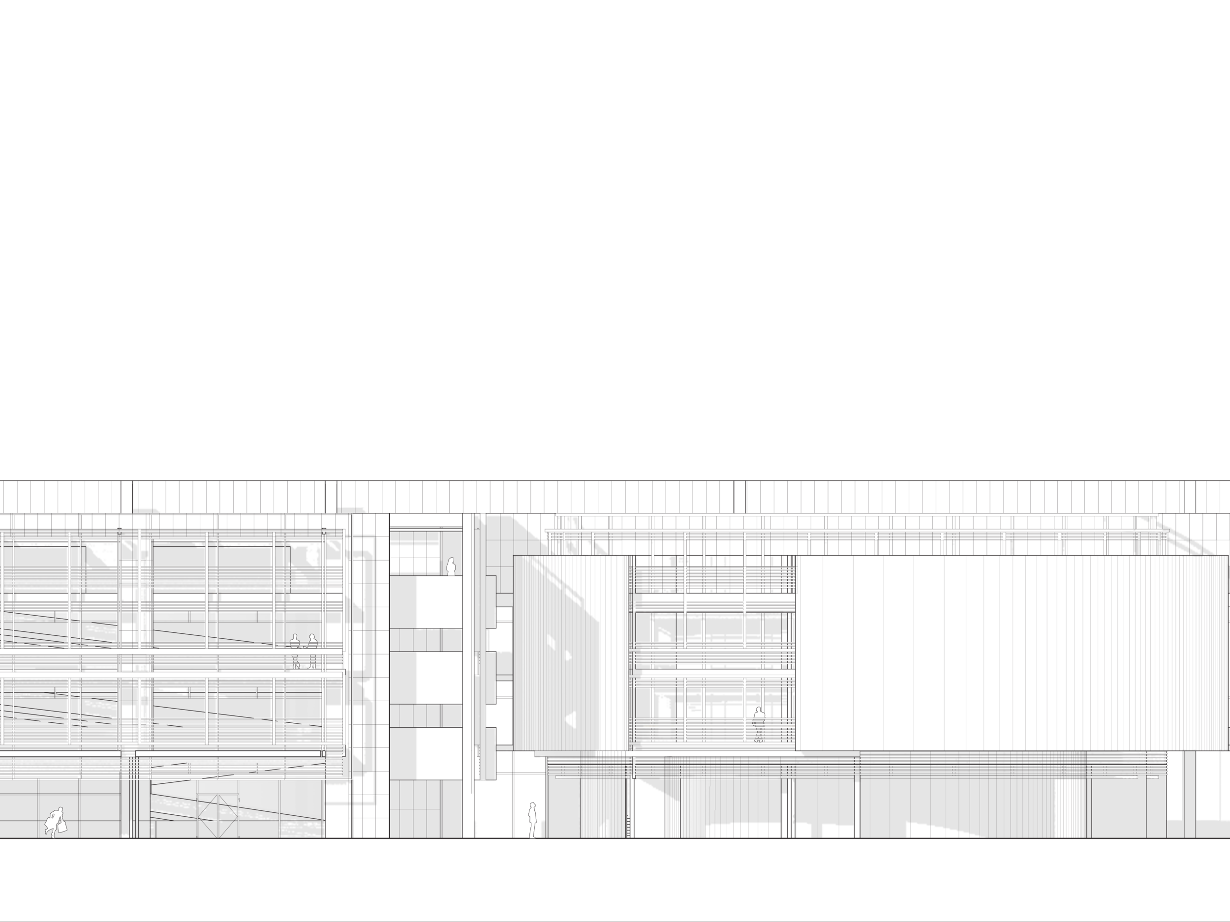 MiguelCastaneda_Elevation-03.png