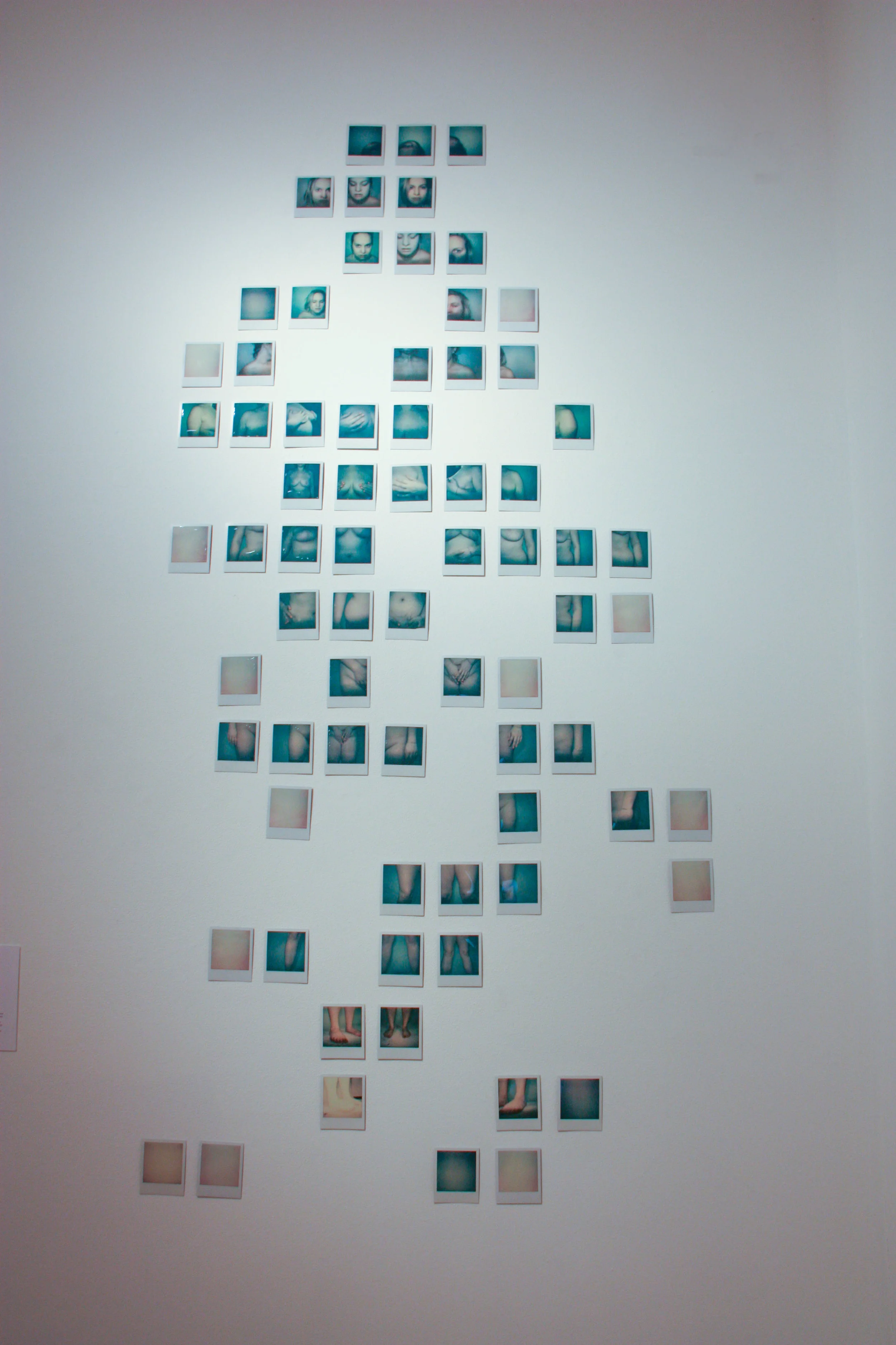 polaroid full small size.jpg